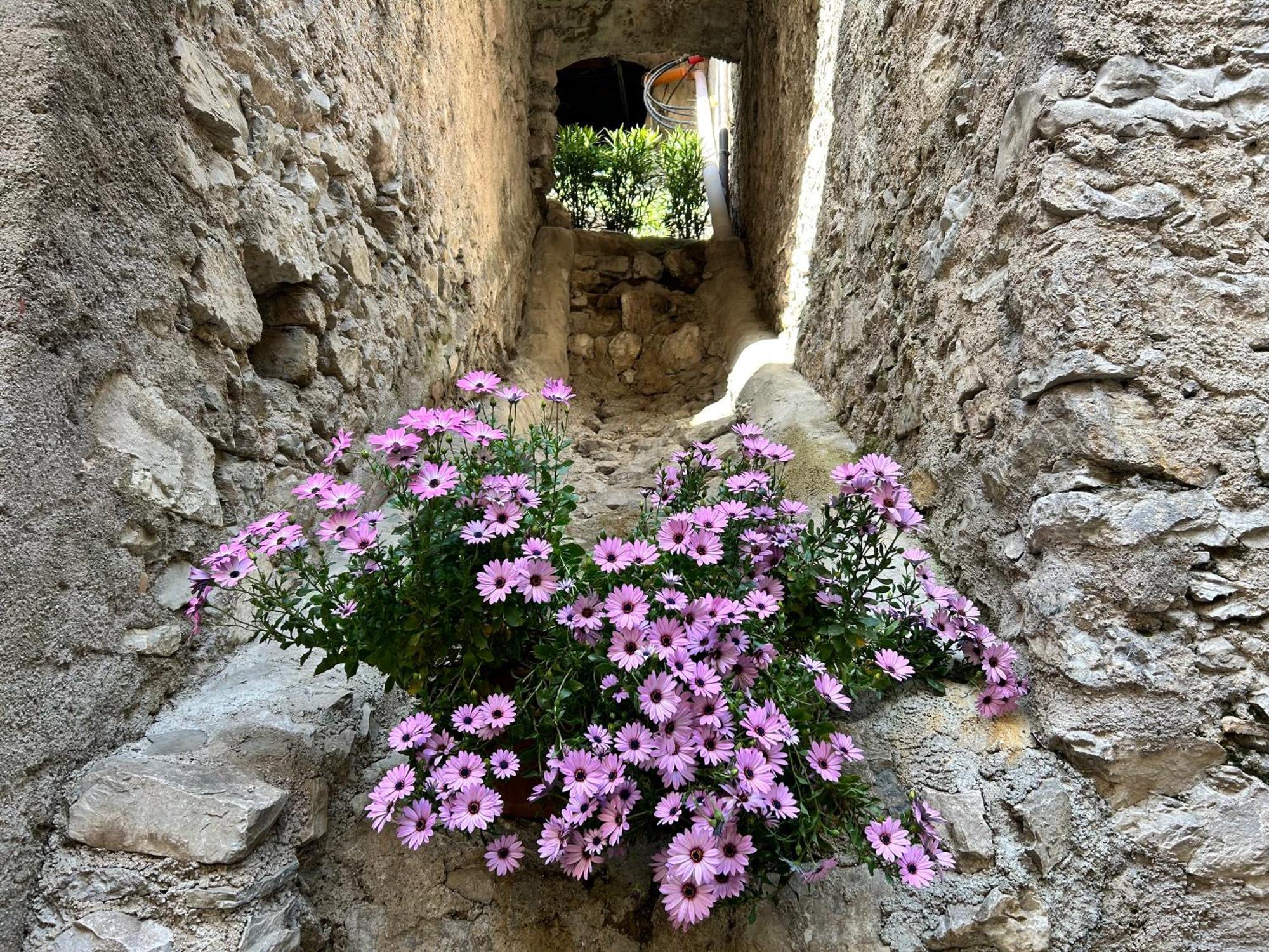 Studios Al Castello Dei Limoni Limone sul Garda Dış mekan fotoğraf